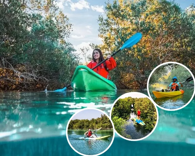 Mangrove Kayaking Umm Al Quwain